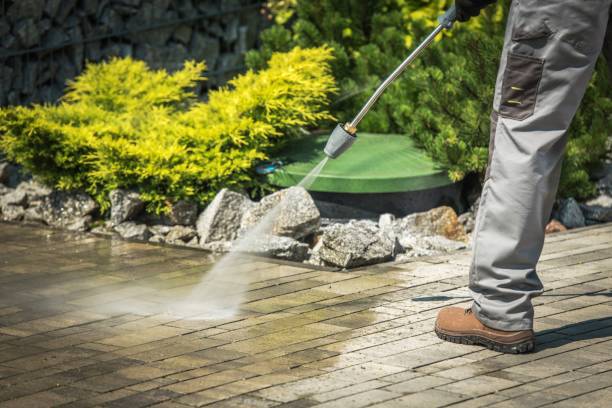 Best Gutter Cleaning  in Sneads, FL