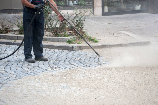 Best Patio and Deck Pressure Washing  in Sneads, FL