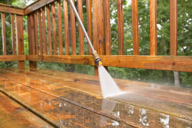 Best Fence Cleaning  in Sneads, FL